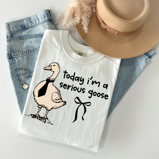 Today I'm a serious goose DTF Transfer I309