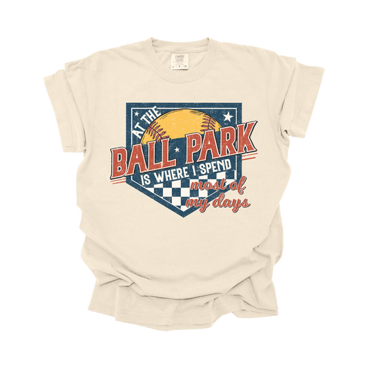 At the ball park softball DTF Transfer C236