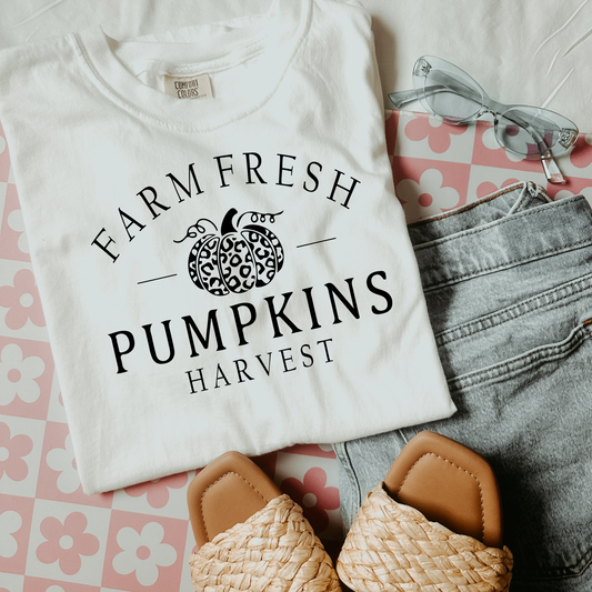 Farm Fresh Pumpkins Harvest DTF Transfer F58