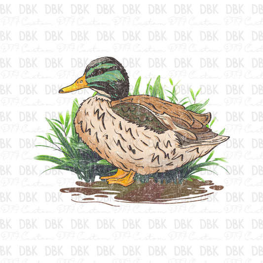 DUCK DTF Transfer Z31