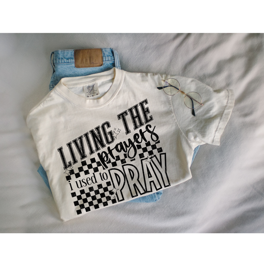 Living the prayers I used to pray DTF Transfer FT47