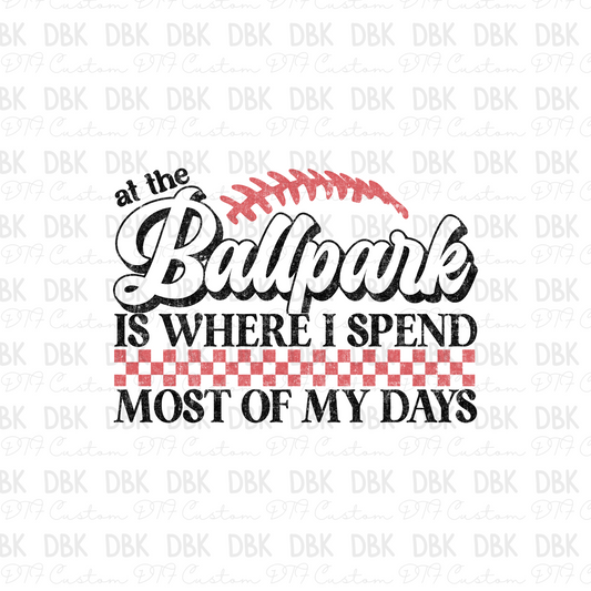 The ballpark is where I spend most of my days DTF Transfer BLACK C232