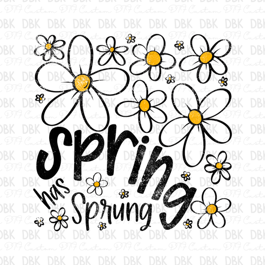 Spring Has Sprung DTF Transfer Z28