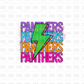 Panthers DTF Transfer