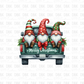Gnomes on A truck DTF transfer E138