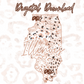 Illinois Rose Gold Leopard Digital Download