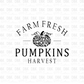 Farm Fresh Pumpkins Harvest DTF Transfer F58