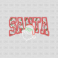 Santa DTF Transfer E203