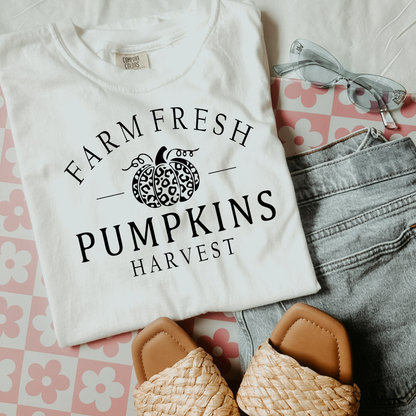 Farm Fresh Pumpkins Harvest DTF Transfer F58