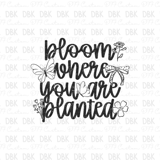 Bloom where you are planted DTF Transfer