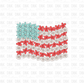 American Flag floral DTF Transfer