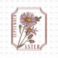 September Floral DTF transfer