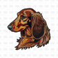 Long haired Dachshund DTF transfer