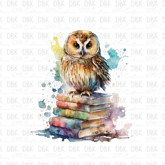 Owl with books  DTF Transfer