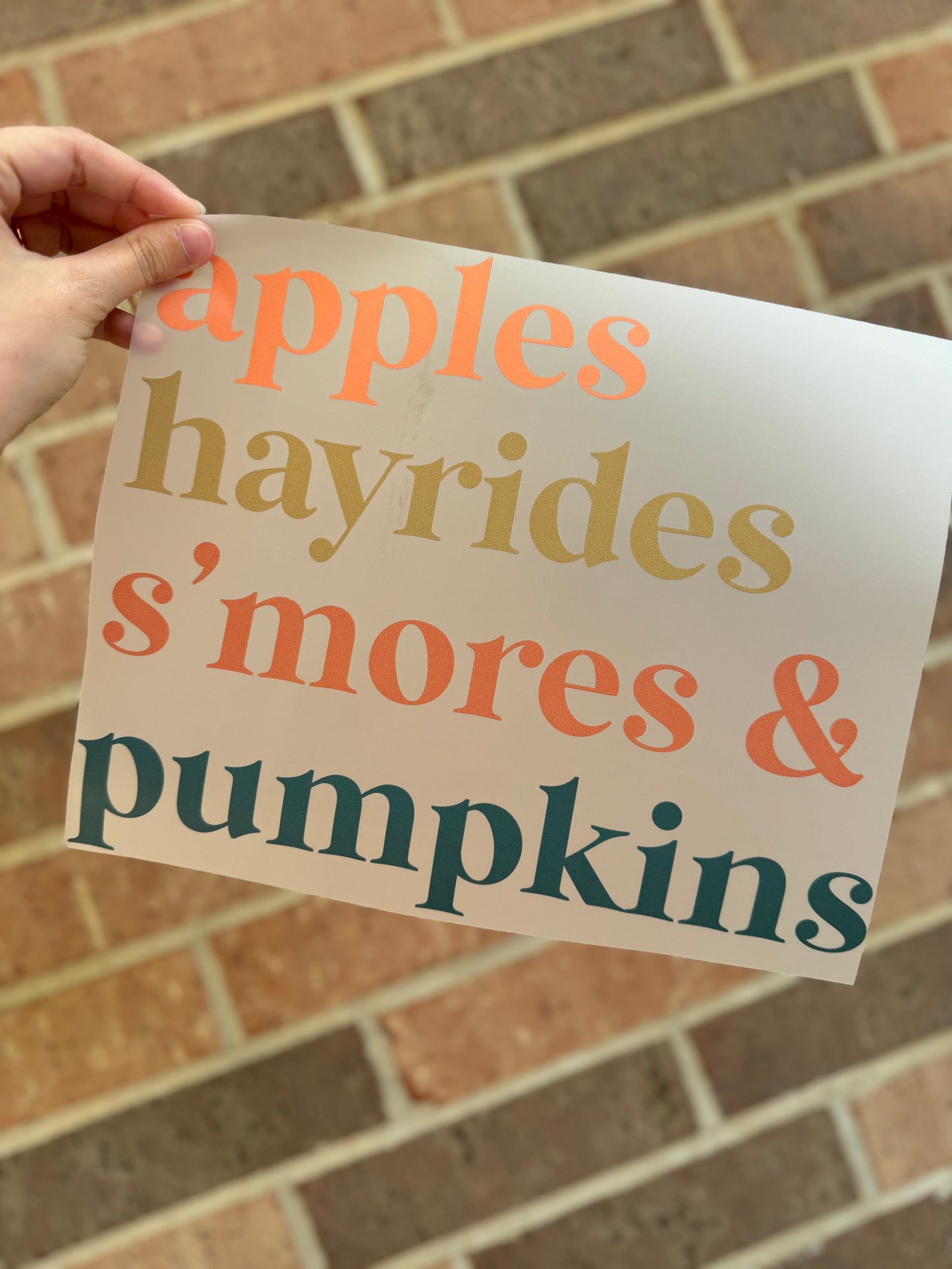 Apples, Hayrides, Smores & Pumpkins 11in DTF Transfer RTS