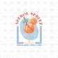 Aperol Spritz DTF Transfer