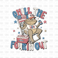 Chill the fourth out DTF Transfer R174