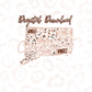 Connecticut Rose Gold Leopard Digital Download
