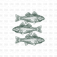 Fish DTF Transfer GREEN