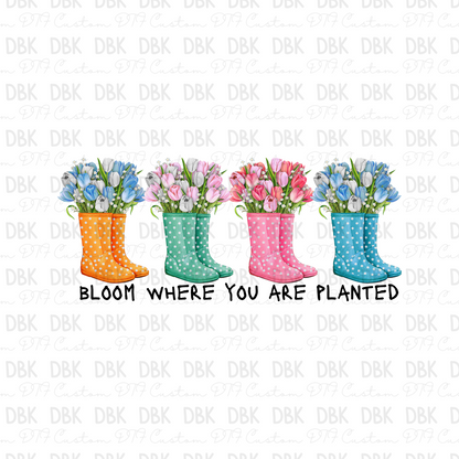 Bloom where you are planted DTF Transfer