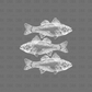 Fish DTF Transfer WHITE