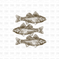 Fish DTF Transfer BROWN