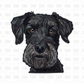 Schnauzer DTF transfer