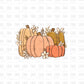 Fall Pumpkins DTF TRANSFER F124
