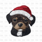 Christmas puppy 1 DTF TRANSFER
