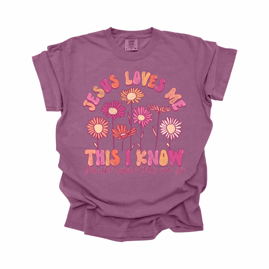 Jesus loves me Wholesale T-Shirt Comfort Colors